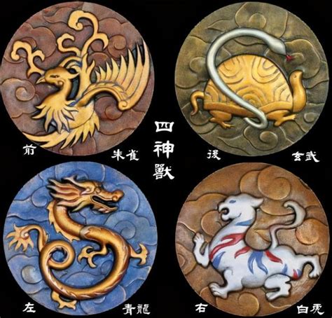 左青龍右虎刺青|中國四聖獸:四聖獸英文名,青龍,簡介,青龍起源,形象,傳說,朱雀,簡。